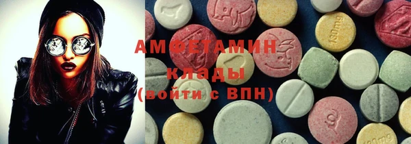 ГАЛЛЮЦИНОГЕННЫЕ ГРИБЫ Вязники