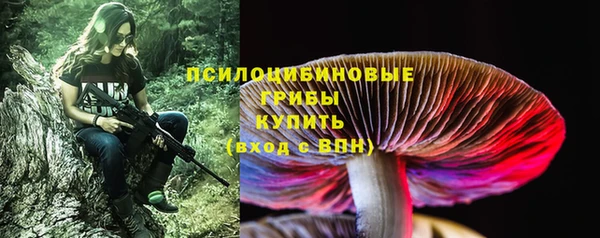 альфа пвп Горно-Алтайск